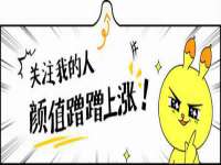 海南礼从德商贸有限公司