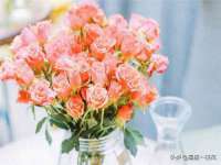 海南礼从德商贸有限公司