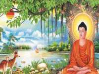 海南礼从德商贸有限公司