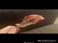 海南礼从德商贸有限公司